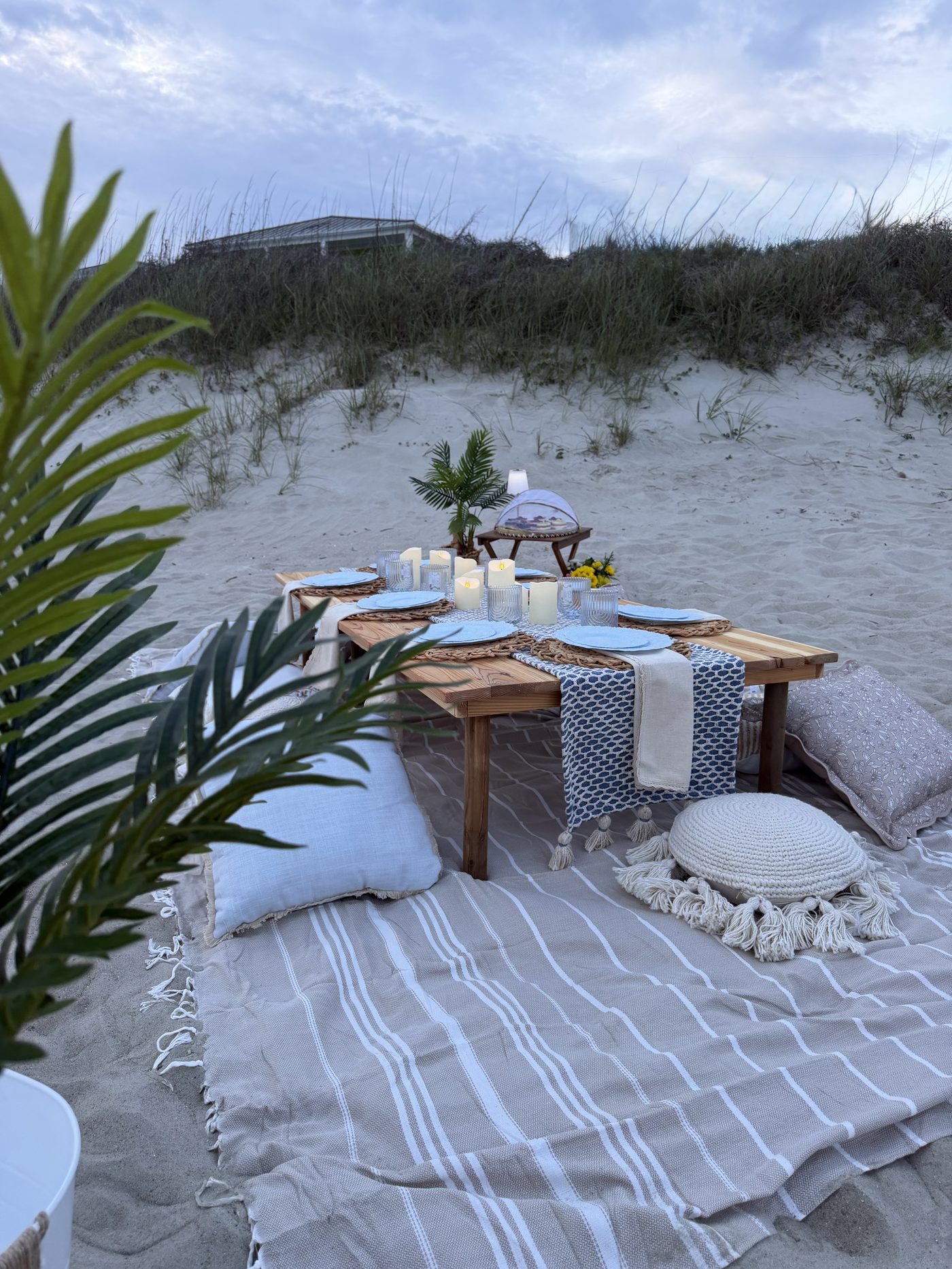 Full beach picnic with palm and floral details